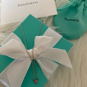 Tiffany &Co Elsa Peretti Color by the Yard Pendant